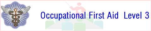 level occupational aid course three name