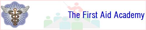 The First Aid Academy The First Aid Academy